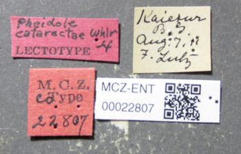 Media type: image;   Entomology 22807 Aspect: labels